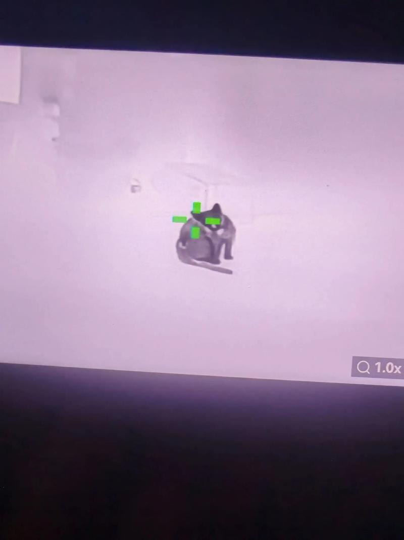 盗墓笔记手游单机版